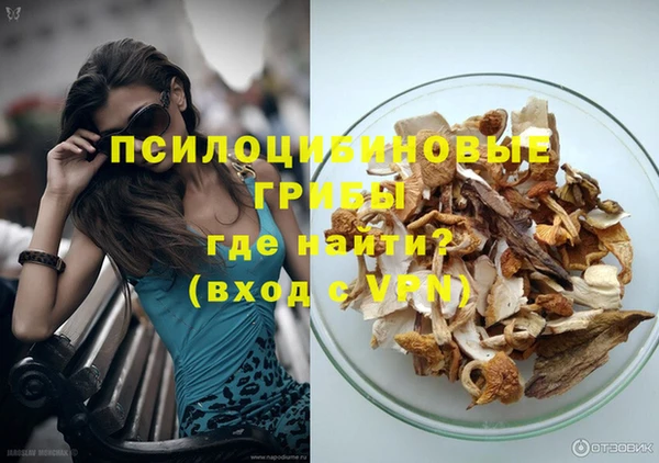 jwh Бородино