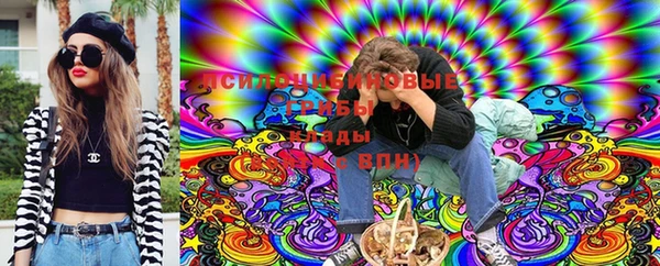 дурь Бронницы